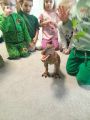 Dzień dinozaura w przedszkolu, 